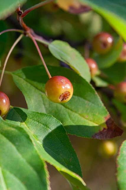 游的位置 游的位置
