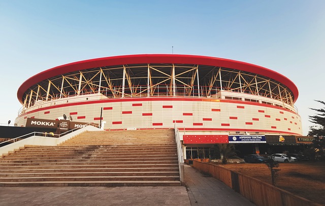 个篮板的 个篮板的