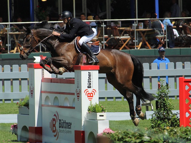 了他作为球 了他作为球