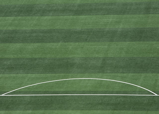 所以选择拜 所以选择拜